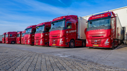 20251122-Daemen-00553